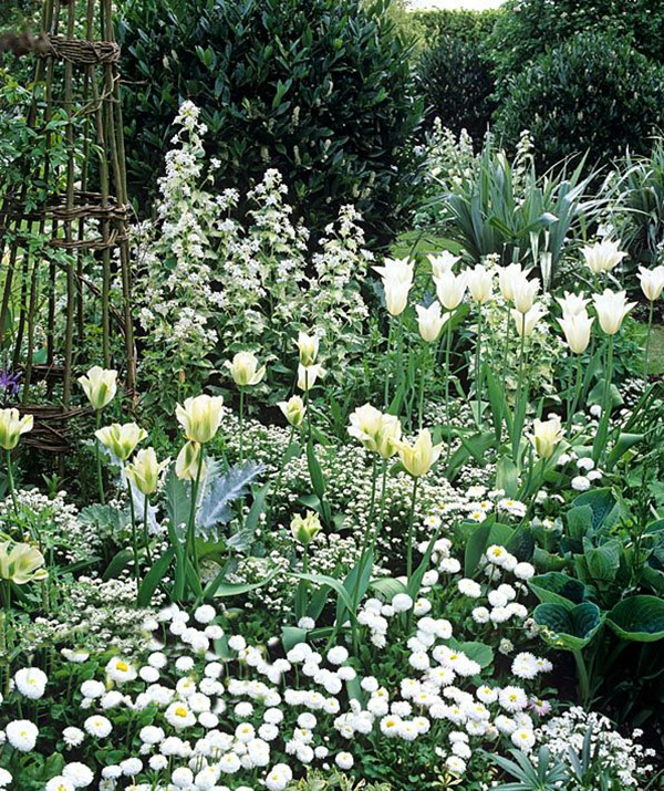 Белые цветы в дизайне сада